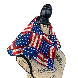 Celestial 10 Chamber Herbal Pack Shoulder, Neck, Hot Cold Pack, Heat Wrap, LARGE, Organic, FlaxSeed, Microwave Therapy, USA American Flag