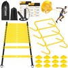 Soccer Training Equipment, Agility Ladder Speed Training Equipment, 20ft Agility