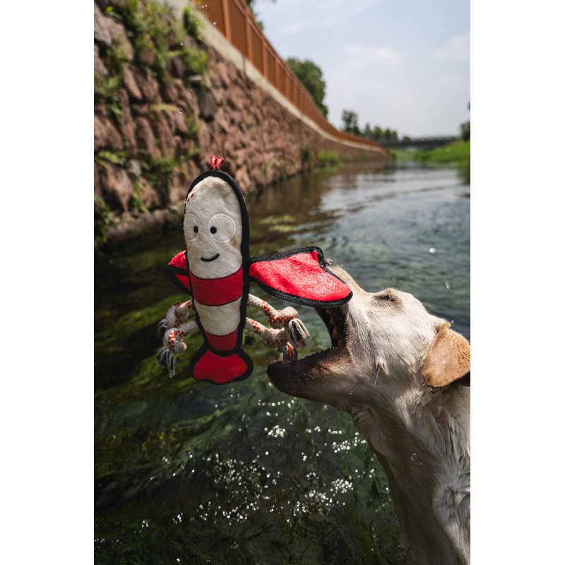 Rough & Tough Plush Toy, Dog Toy, Squeaky Toy, Tug