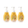 Moving Hand Wash (300ml) Fruit Scent - 3 Pack Foaming Hand Soap Foaming Hand Wash