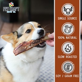 Pet Craft Supply All Natural Healthy Buffalo Rib Bones Dog Chews Treats for Aggressive Chewers Long Lasting Rawhide Free Premium Grade Slow Roasted for Small or Medium Dogs 10 Pack