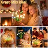 4 Pack Dragonfly Solar Garden Lights Outdoor, 24 LEDs Solar