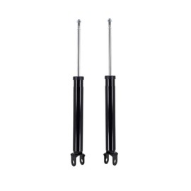 FCS Struts 2FCS REAR Suspension Shocks Absorbers Struts Inserts Dampers for Hyundai for Kia