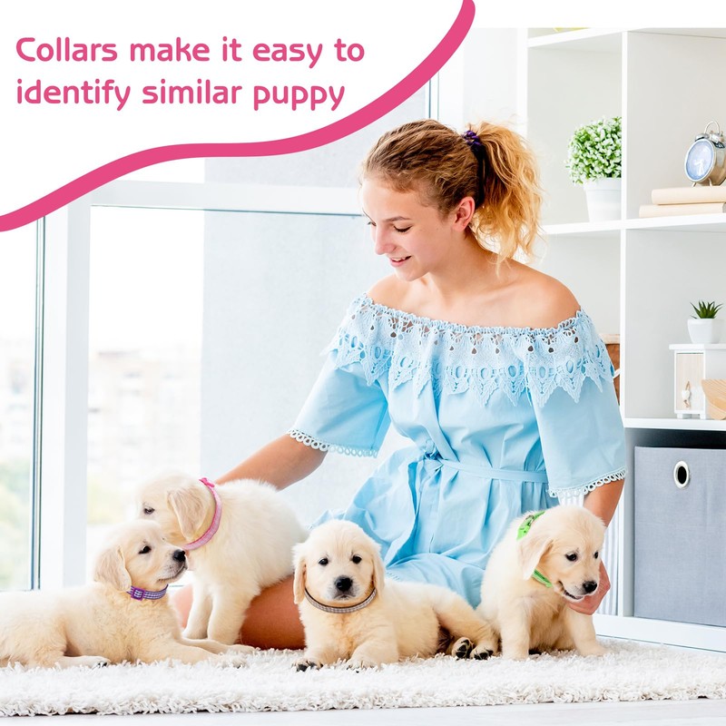 GGSTDDUP 36 Pcs Puppy Collar and Leash Set, Adjustable New