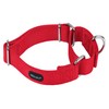 Mikivery Marraht A Dog Collar with Sleepy Colourful Metal Collar
