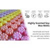 Blossoms & Spring Rain Highly Scented Soy Wax Melts