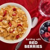 Special K Kellogg's Special K Breakfast Cereal,Fiber Cereal,Giant Size, Red