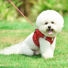 leconpet Step in Dog Harness, Vest Harness and Leash Set for Small Medium Dogs, Puppy Harness, Mesh Reflective Dog Harness Vest (XL, Red)