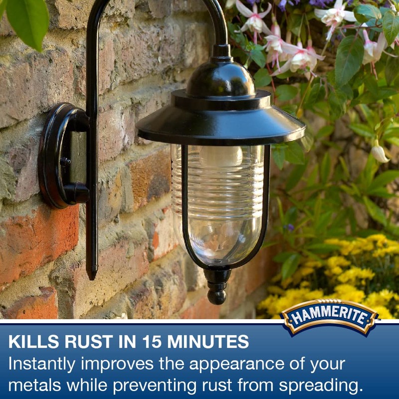 Hammerite 5092819 6100244 90ml Kurust
