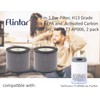 Flintar 2-Pack AP006 H13 True HEPA Replacement Filter, Compatible with