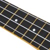 21in Ukulele with Carry Bag Tropical Fruit Pattern for Beginners