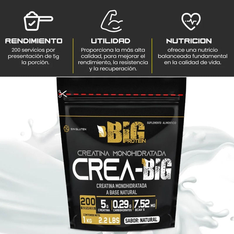 Creatina Monohidratada Big Protein 1kg Bolsa 200 Servicios