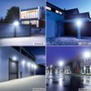 Fairyland LED Spotlight with Plug, 10 W, 20 W, 30