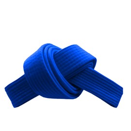 RingMaster Sports Grading Belts 9 Plain Colour for Karte Judo Taekwondo Martial Arts Training Competition | 230cm, 250cm, 280cm, 320cm (Blue, 280 cm)