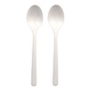 Haval 96432 Reusable Spoons, Bio-PP 18.5 cm, White, Extra Sturdy,