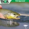 Thor Outdoor Zebra Midge Nymph Fly Fishing Set - 18
