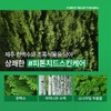 Nature Republic 포레스트 릴리프 포 맨 미스트 토너 150ml Forest