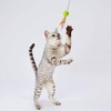ADD. Mate Happiness Cat Wool Ball Ball Feather Toy