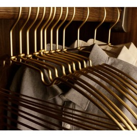 Super Light and Fashion Hangers Gold Color 5 Pieces Metal Aluminum Alloy Space Saver Rust Proof Durable Convenient Storage (5 Gold)