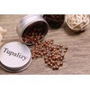 Tupalizy 1/8 Inch Diameter Small Decorative Map Tacks Plastic Head