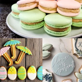 Royal Icing Piping Bags and Tips Set with 6 Small Piping Tip for Writing,Sugar Cookie Decorating,Macarons,1 Reusable Icing Bag & Coupler