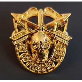 Special Forces Skull Crest DI Pin Uniform US Army SF Airborne SOG Insignia GOLD Plated 1 1/4"