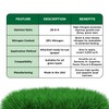 Maximum Green & Growth Fertilizer High Nitrogen 28-0-0 Liquid Lawn