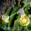 Afirst Outdoor String Lights 50FT with 53 Globe Bulbs Patio
