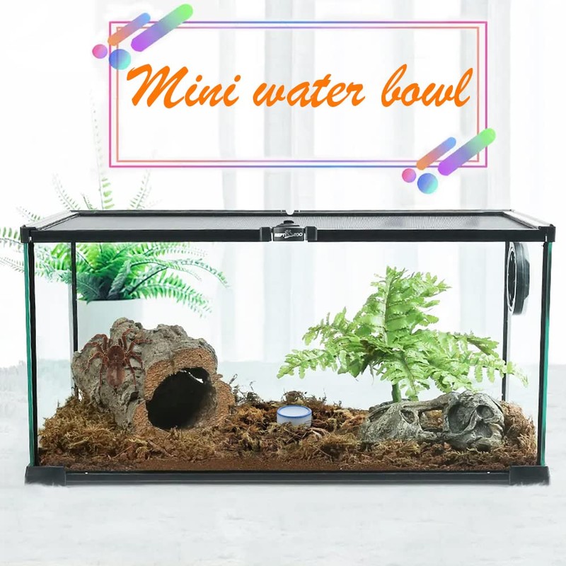 6 Pcs Spider Micro Water Bowl Mini Ceramic Dish for