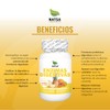 NATSA Enzimas Digestivas 100 Cápsulas | Reforzado con Vitamina B1