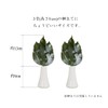 A&K MKS-01SS Premium Preserved Sakaki SS (1 Pair), Made in