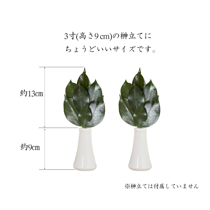 A&K MKS-01SS Premium Preserved Sakaki SS (1 Pair), Made in