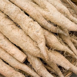 What a good day Yam Powder 100% Domestic Yam Yam Sanyak Powder Powder 500g/2 units / 참마가루 100% 국산 참마 마 산약 가루 분말 500g/2개