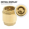 DUZFOREI Brass in-Line Spring Check Valve DN32 1-1/4" Female Thread,