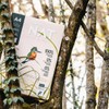 Natural A4 Printer Paper, 1 Ream (500 Sheets) 75gsm Multi-Purpose