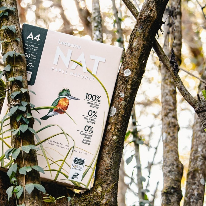 Natural A4 Printer Paper, 1 Ream (500 Sheets) 75gsm Multi-Purpose