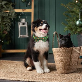 Christmas Dog Collars for Medium Dogs with Snowflakes Bells Hats, Christmas Green Dog Collar with Bow Tie, Adjustable Heavy Duty Pet Collar with Safety Buckle for Small Medium Large Dogs (M)