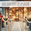 4 Pack of Stanchion Set for Party - White VIP