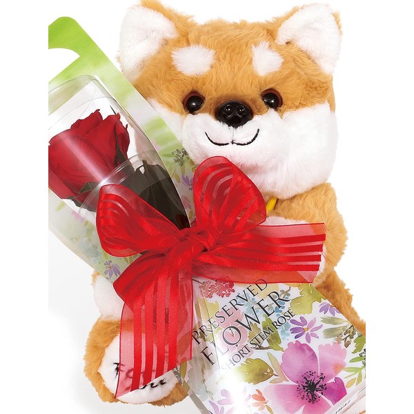LILYS épice Sp1rd Preserved Flower, Shiba Inu, Plush Toy, Single