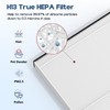 XBWW 2 Packs T10i Replacment Filter Compatible with Blueair ComfortPure