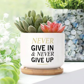 DecStic Never Give in and Never Give Up Ceramic Planter Bible Verse Flower Pots for Indoor Plants with Drainage Holes and Saucers Pot for Succulents Cactus Garden Windowsill