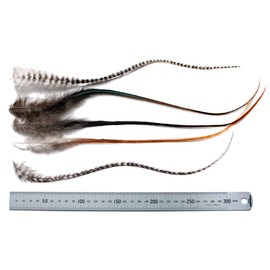 5 Fluffy Super Long RARE! 13-15+ INCH (33-38+ CM) Real Feather Hair Extensions