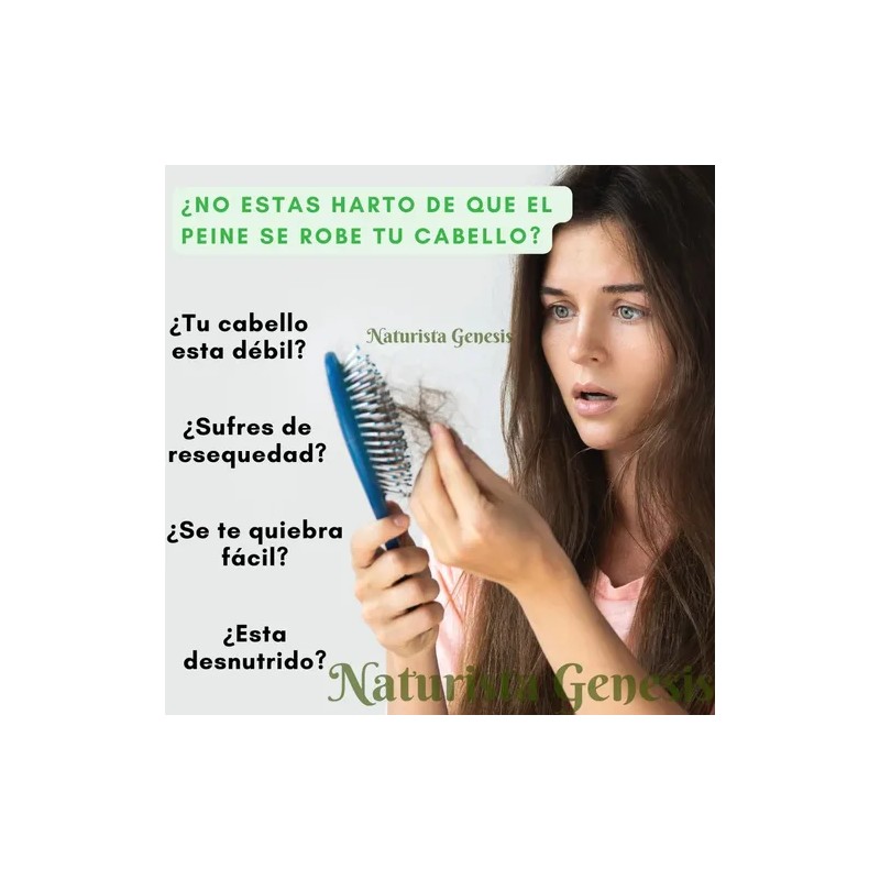 2 Shampoo Bergamota Kit + Tónico + Acondiconador + 2