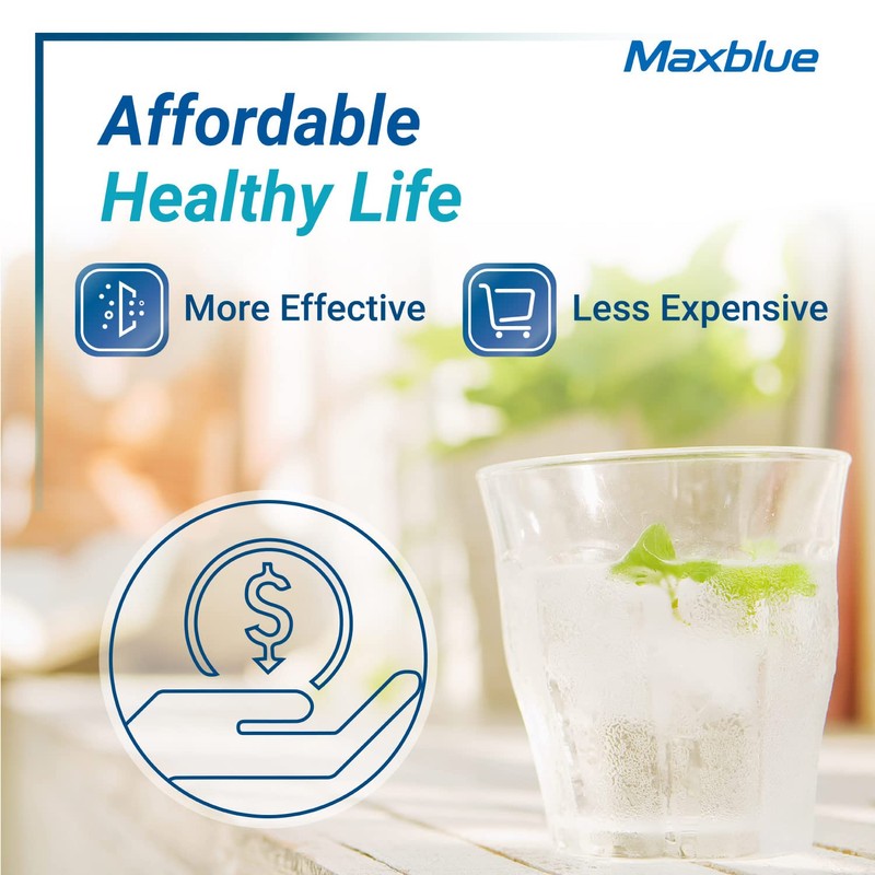Maxblue Replacement for GE® RPWFE®, RPWF (with CHIP) Refrigerator Water
