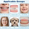 8Pcs Soft End Tuft Toothbrush Orthodontic Tapered Brush Detail Cleaning