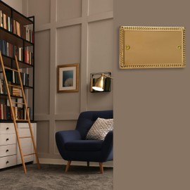 Varilight Double Blank Plate Classic Georgian Brass