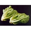 Lettuce Little Gem Cos Great Heirloom Vegetable by Seed Kingdom 1 Oz Seeds