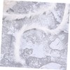 Hohopeti Home Polyester Yarn for DIY Crafts Soft and Durable