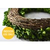 Preserved Boxwood Wreath for Summer Decor – 16 Inch Lush