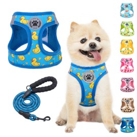 BEAUTYZOO Step in Dog Harness and Leash Set,Reflective Dog Harness No Pull No Choke Puppy Harness for Small Medium Large Dogs Cats,Soft Padded Mesh Vest Harnesses for Girl and Boy Pets, Duck Blue S